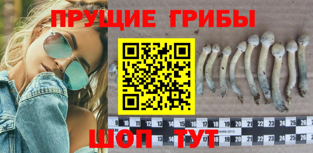 Новотроицк  Псилоцибиновые грибы Cubensis  Вход с VPN 